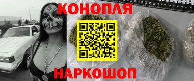 амф Камышлов