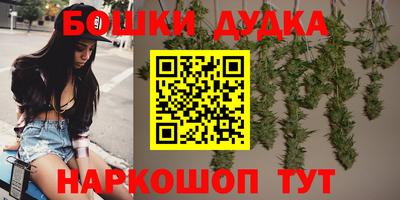 амф Камышлов