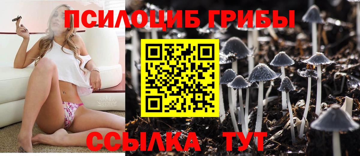Галлюциногенные грибы Psilocybe Кропоткин