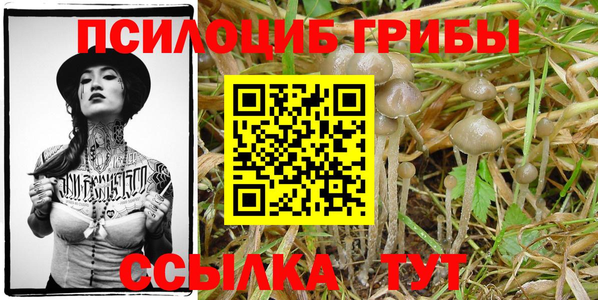 Кропоткин  Псилоцибиновые грибы прущие грибы  Галлюциногенные грибы мухоморы  Вход с VPN 