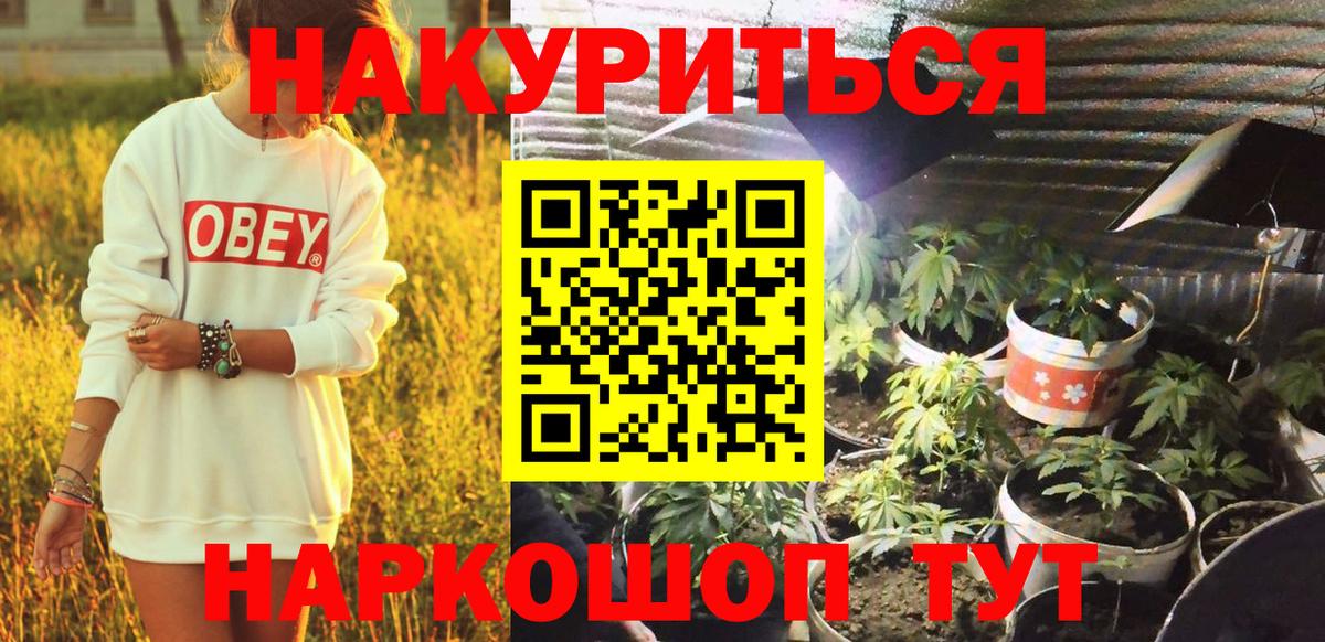 Конопля планчик Кропоткин